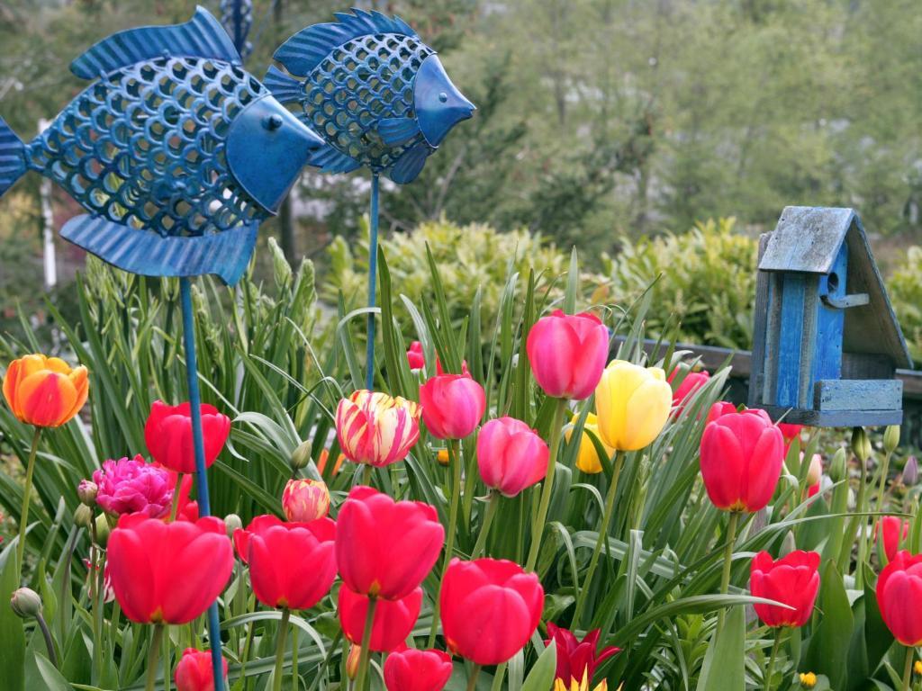 Hillside House Bed And Breakfast Friday Harbor Esterno foto
